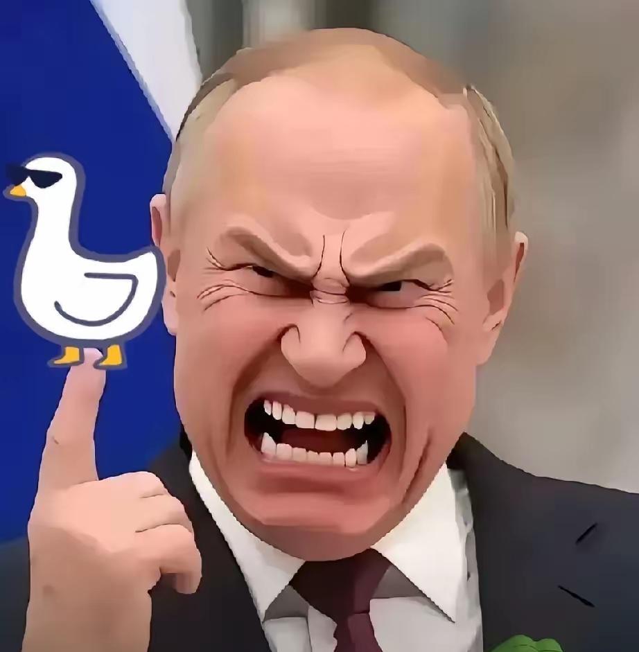 “末日两件套”真的上岗了。最新卫星图，新地岛上的灰色发射车不是模型，俄罗斯国