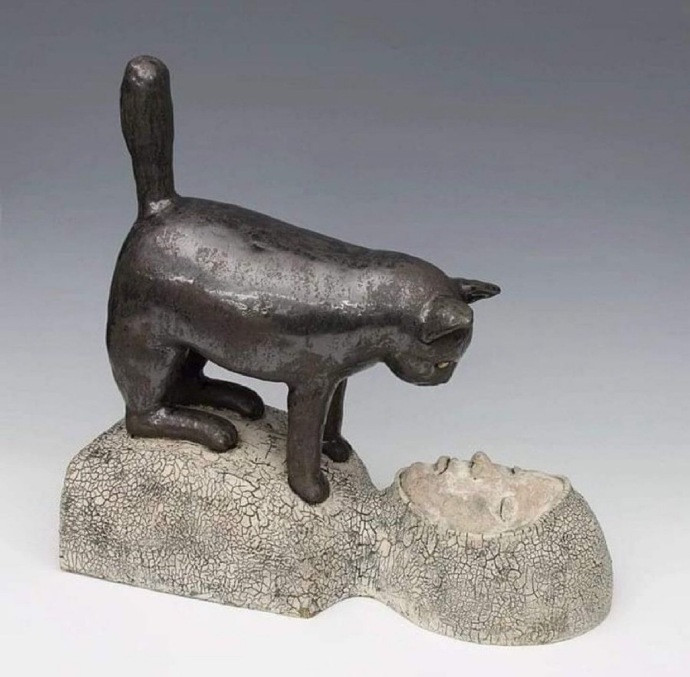 自古以来，猫就一直在骚扰人类[笑着哭]​​​