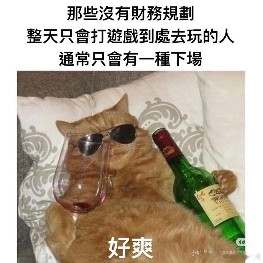 分享一些可可爱爱的猫猫meme宠物卖萌中心​​​