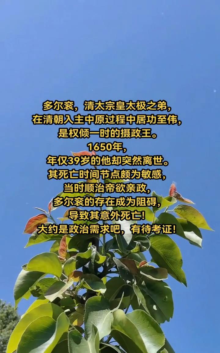 多尔衮，清太宗皇太极之弟，在清朝入主中原过程中居功至伟，是权倾一时的摄政王。16