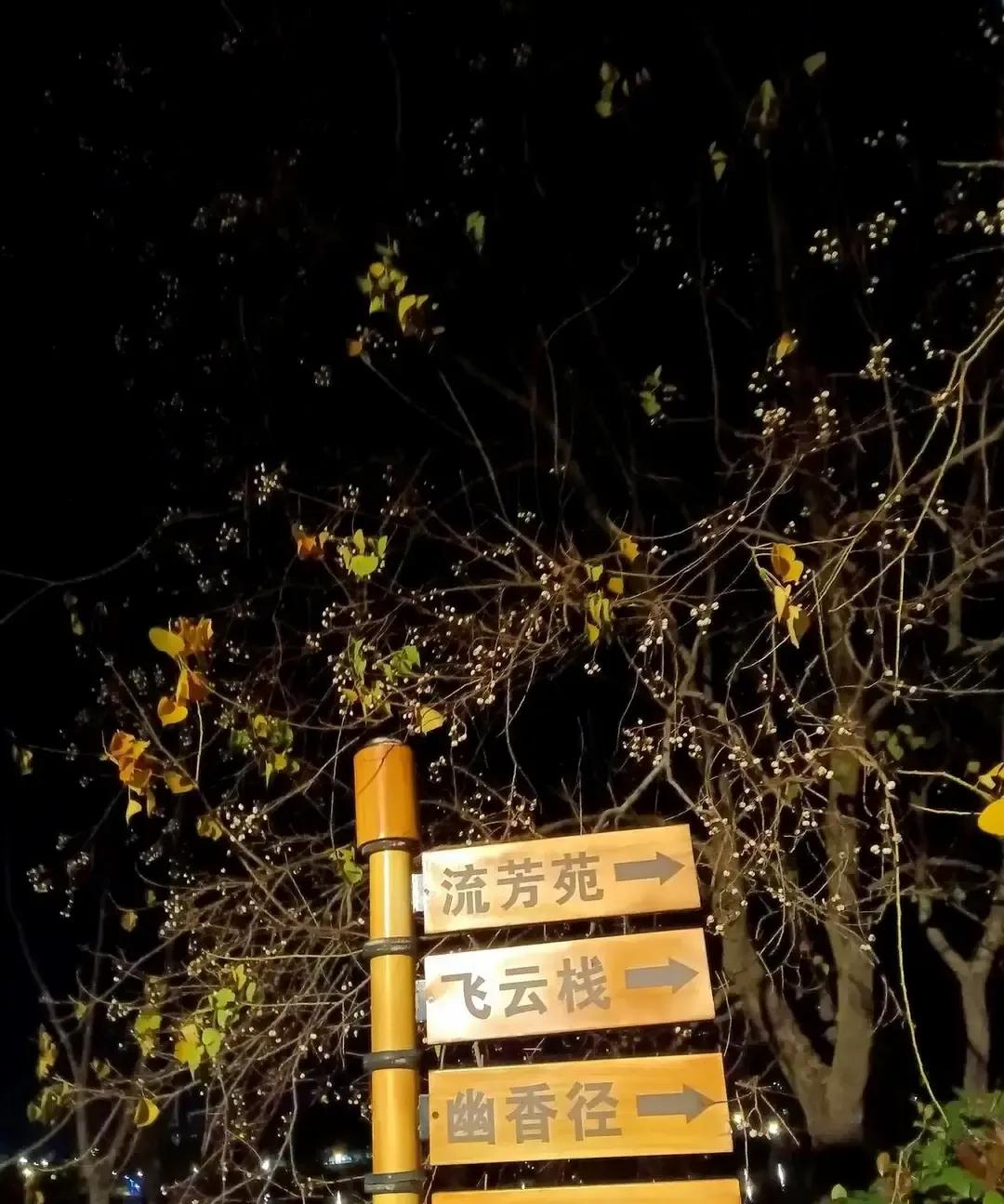 刷到一条帖子说中等生最惨，每天刷题到半夜，分数还是卡在中间，老师表扬永远轮不到，