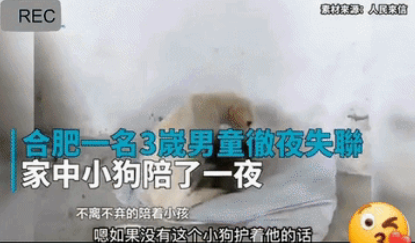 合肥一名三岁男童独自出门彻夜未归，警察询问情况得知家里的狗狗也不知所踪。隔天