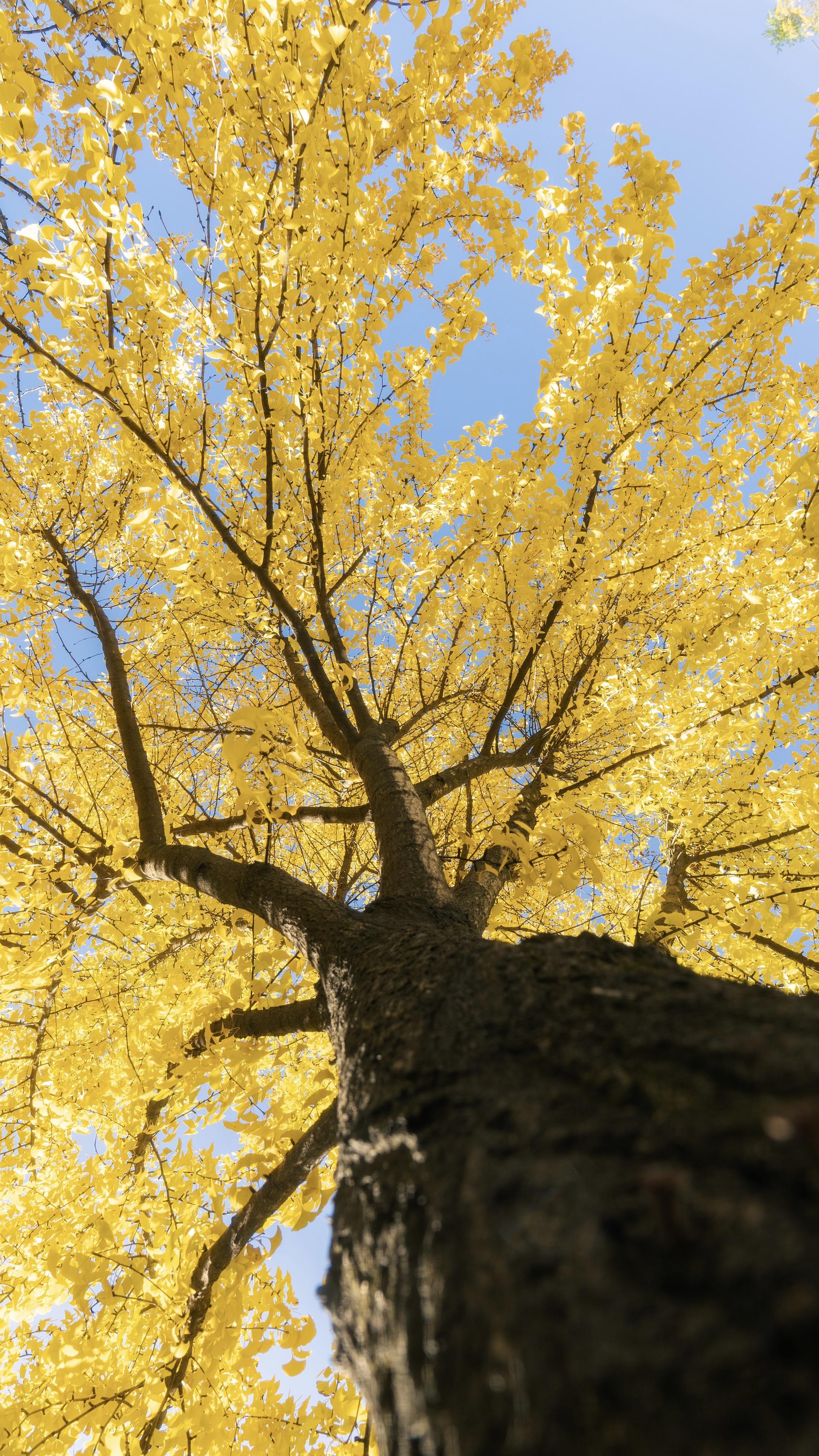 20万粉丝摄影博主2025年都拍了些什么。