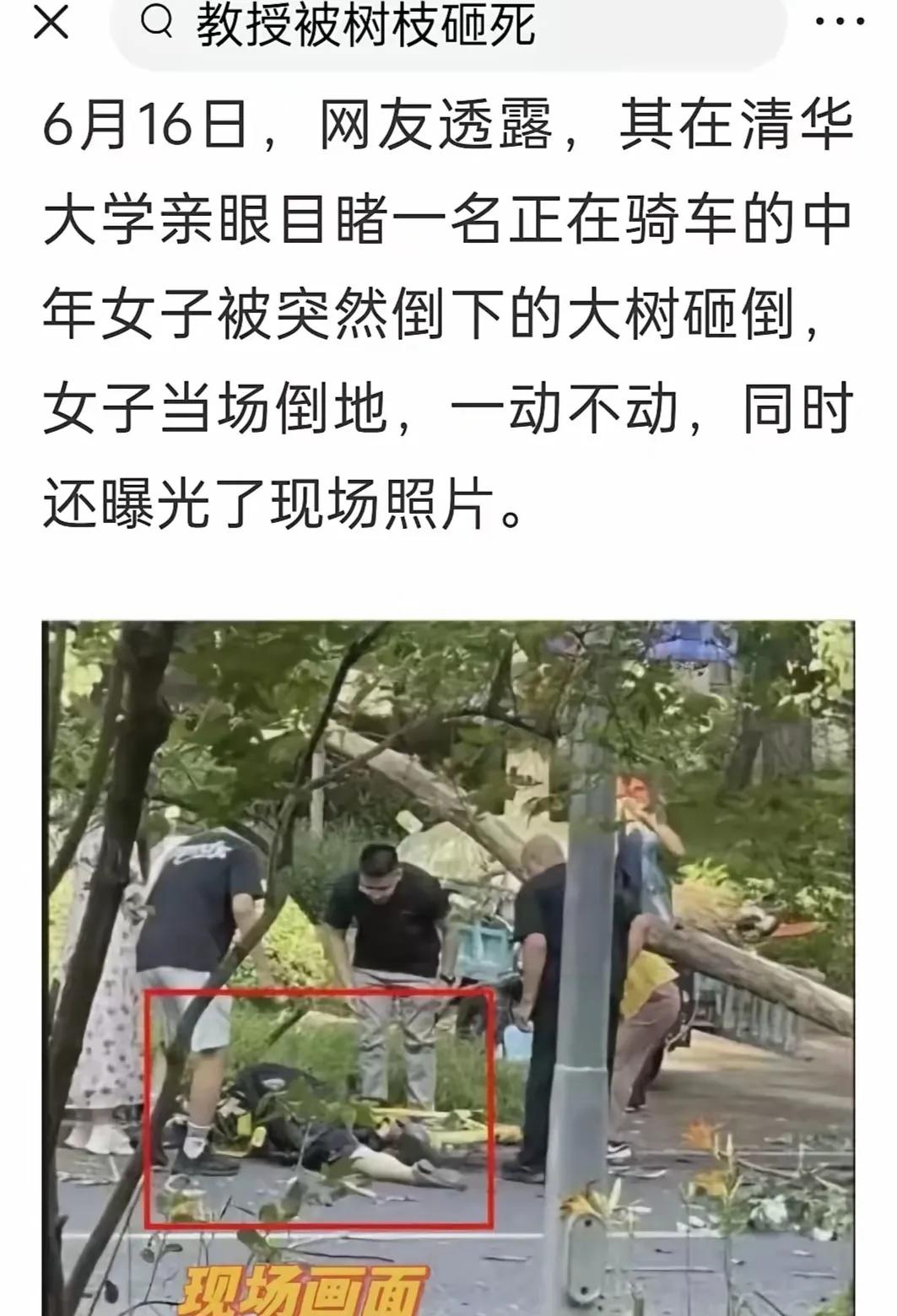说真的，这种真是太倒霉了。为了去清华看望自己的女儿，老太太骑着自行车行驶在清华