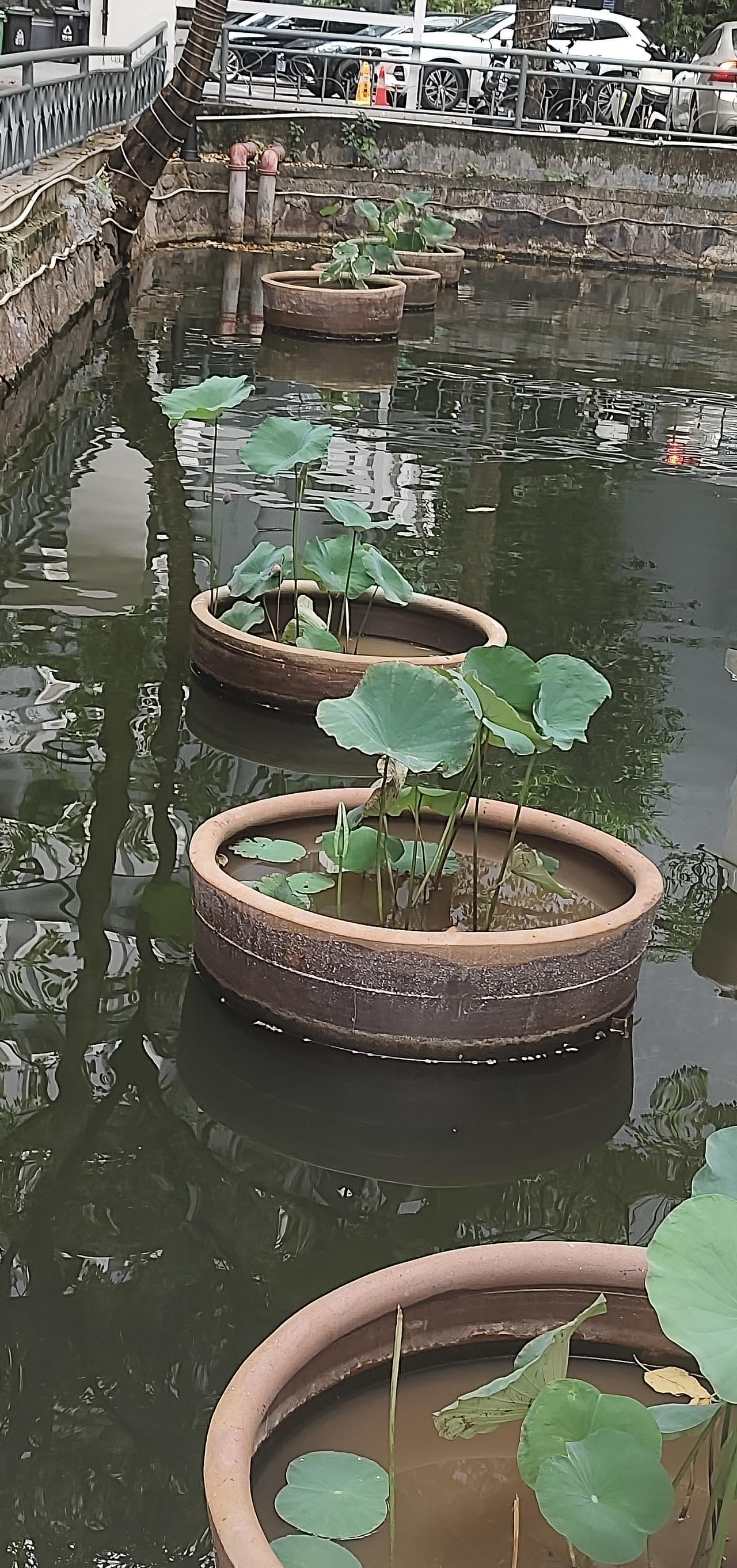 婆媳关系，总说，先有婆婆后有媳妇，这句话，不认可。（个人意见）。先有婆婆，意思