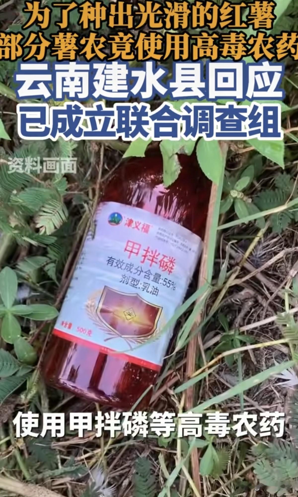 央视披露红薯安全问题，竟然在种植阶段就使用早已被禁止的剧毒农药甲拌磷，虽然病虫害