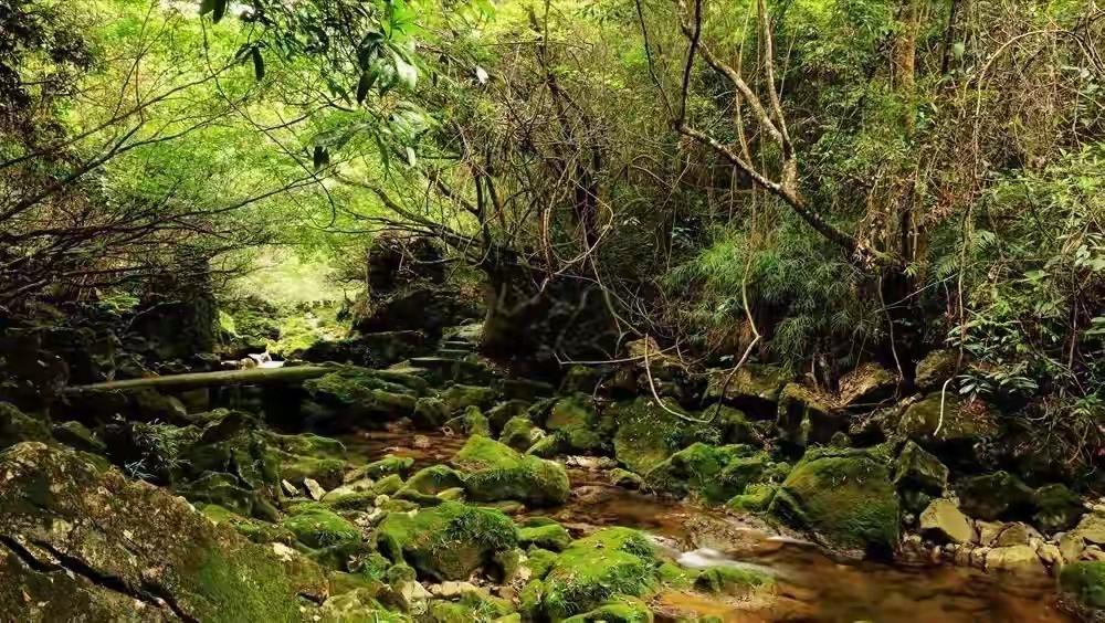 昨天刷到一件事，看得我心里一紧。三个年轻人去贵州茂兰徒步，18公里的大环线，