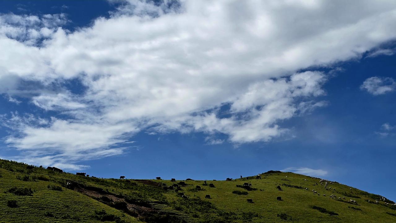 高山牧场之上，晚风徐徐，原野辽阔。甘南大草原一望无际，万顷碧野向着天际铺展，远山