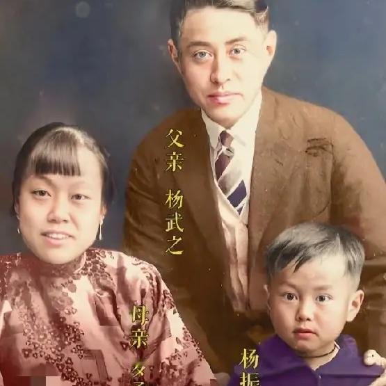 照片中这位相貌堂堂、风流倜傥的男子名叫杨武之，坐在他前面的小男孩则是他的长子杨振