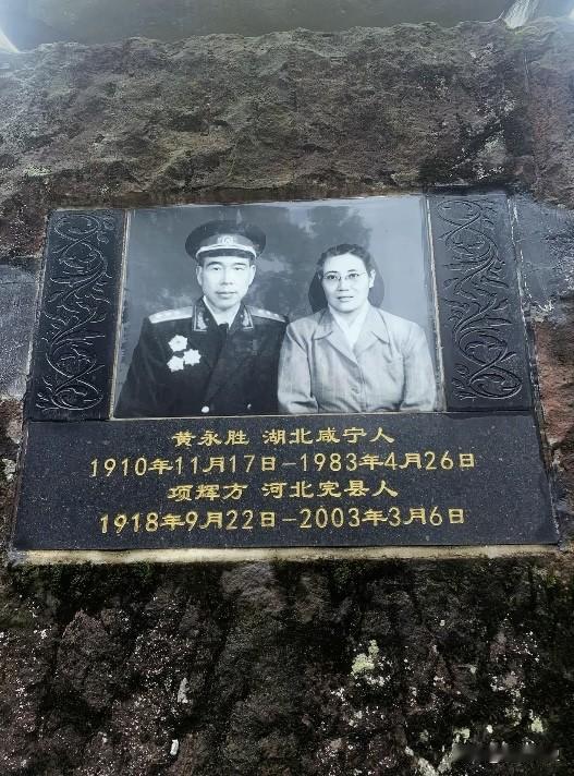 你还记得这位老将军么？今年年初，我又去了湖北省咸宁市高桥镇澄水洞村的131工