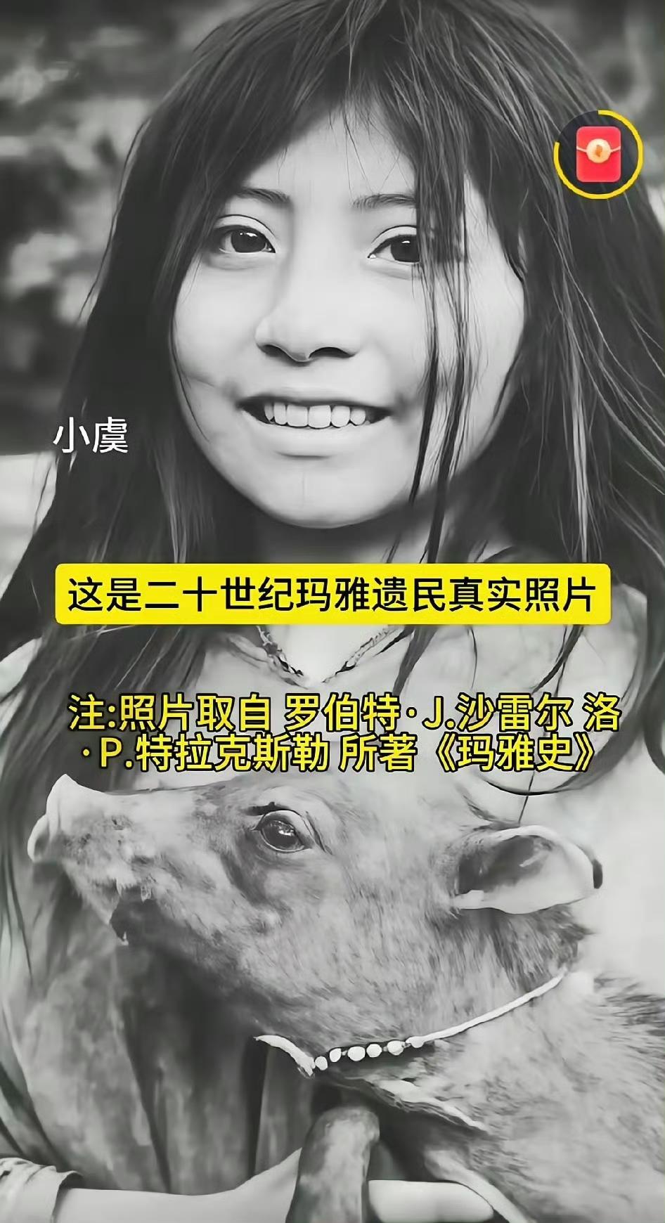 我相信玛雅人是被人为灭绝的