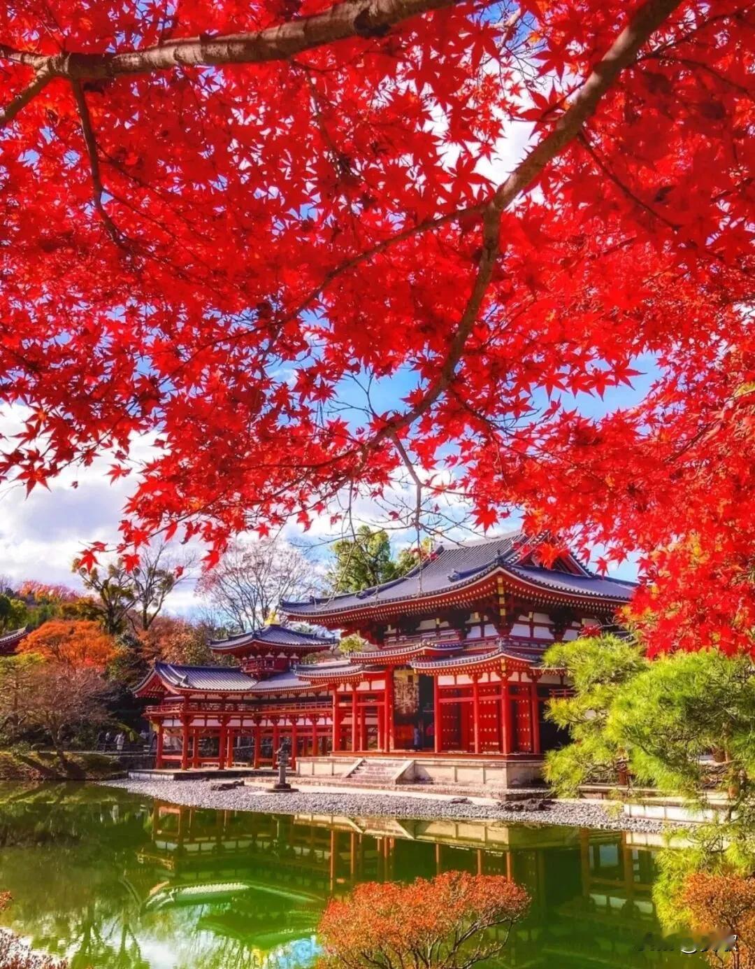 上联:欲滴菊花露下联:微醺枫叶秋横批:天香玉露