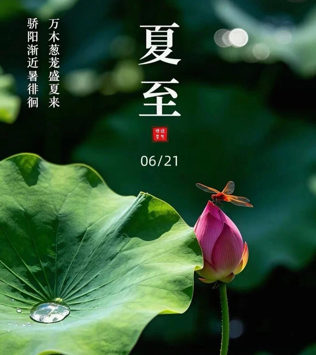 转眼这节气就到了夏至。其实，我是有些怕过夏至的，因为从夏至开始，白天就一天比一