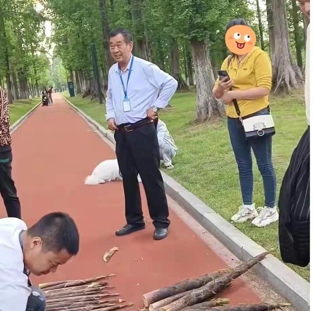 占小便宜吃大亏！安徽一女子在公园里散步，发现竹林里有很多竹笋，心痒难耐，咔嚓咔嚓