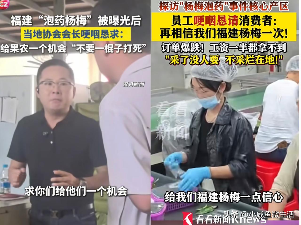 “杨梅泡药”你真不能怪消费者一刀切！好跟不好这个事，不是你一个两关能出来哭诉