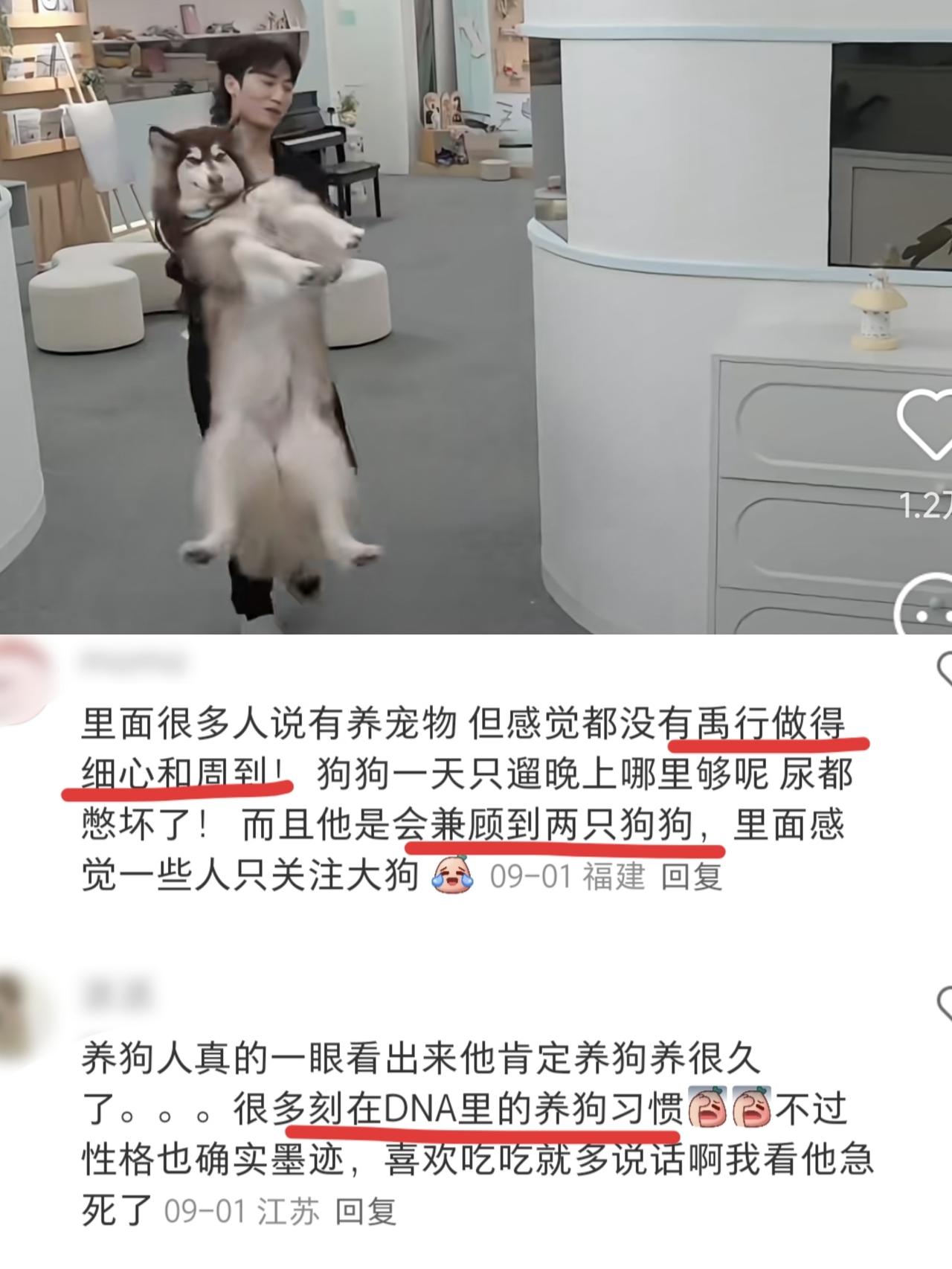 盘点《心动8》小屋嘉宾对狗狗红黑榜：有人爱狗如命，有人把狗当工具一，红榜第一名