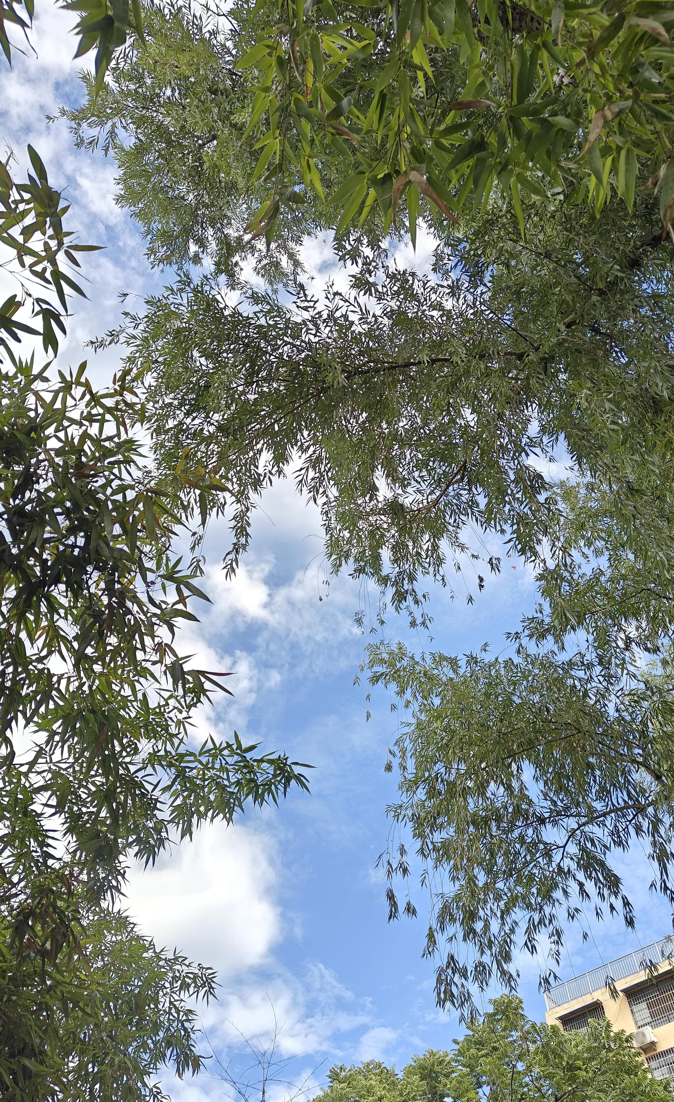 退休之后才发现，最好的生活方式是独处。步入人生的晚年，我愈发体会到宁静致