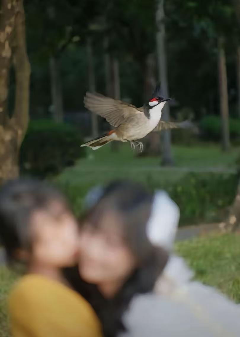 真实测评人陈震回归说到底不也是给钱就吹嘛说他真实，其实是因为他是头部，而且有足够