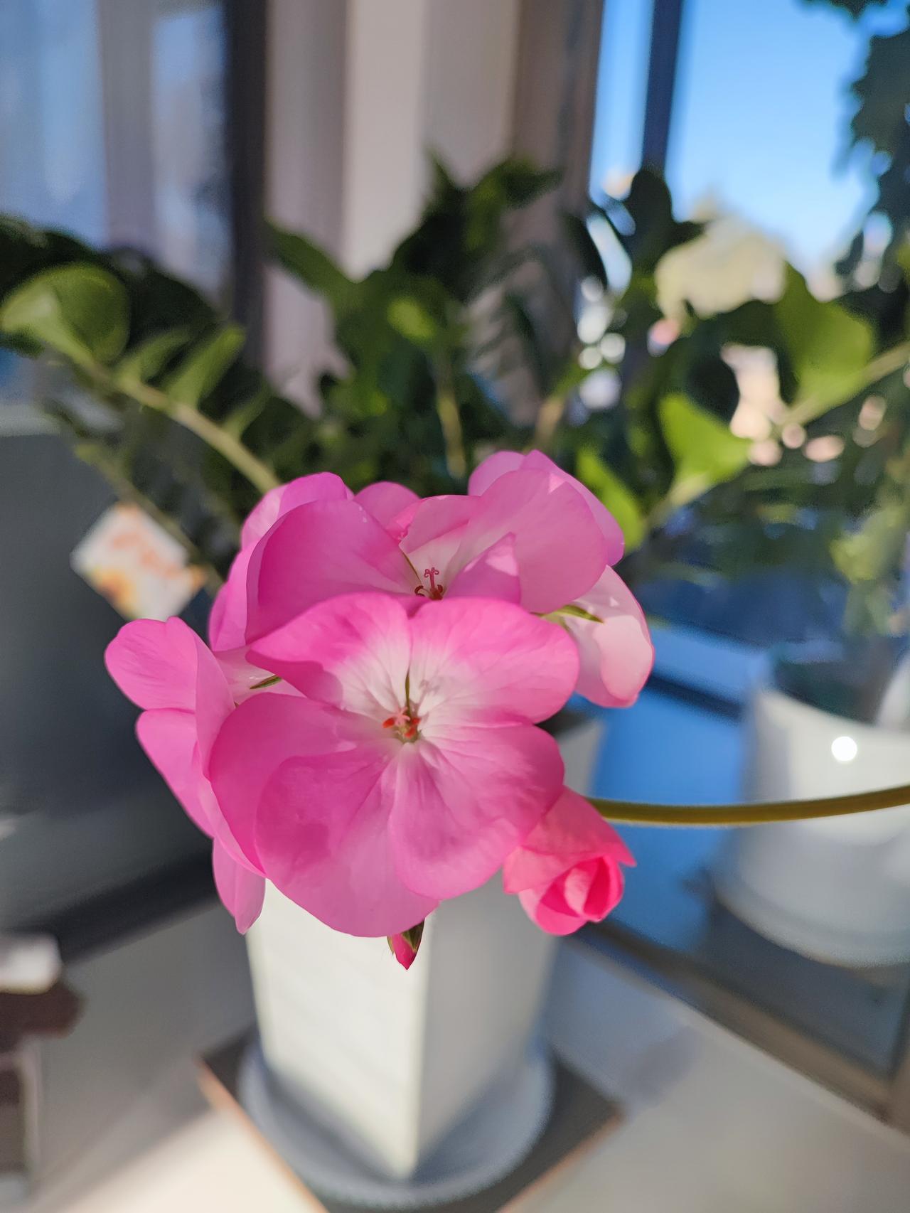 昨晚收到儿子给的钱，自己悄悄的流泪。往年儿子也给钱，可开心了，孩子给的钱