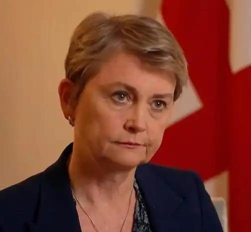 英国外交部发布声明称，2月9日，针对“港独分子”黎智英获刑20年，英国外交部长