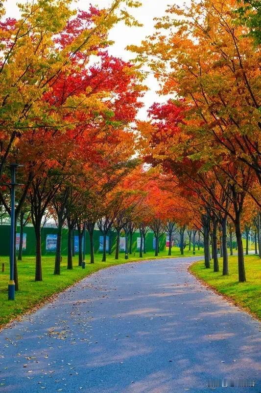 性学专家李银河说：“男女之间一旦愿意肢体接触，关系就发生了实质性变化。男女之间