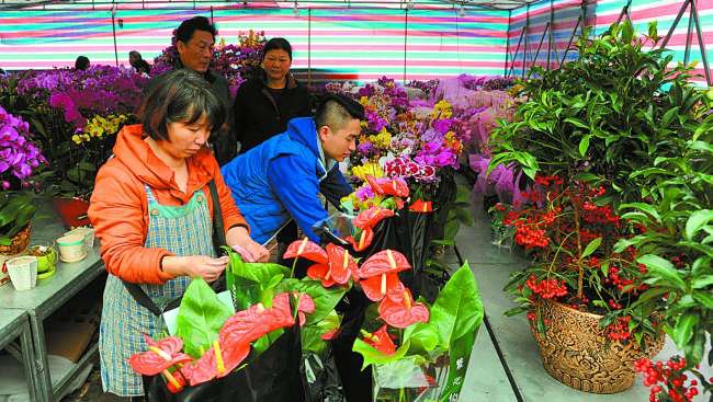 汕头迎春花市姹紫嫣红