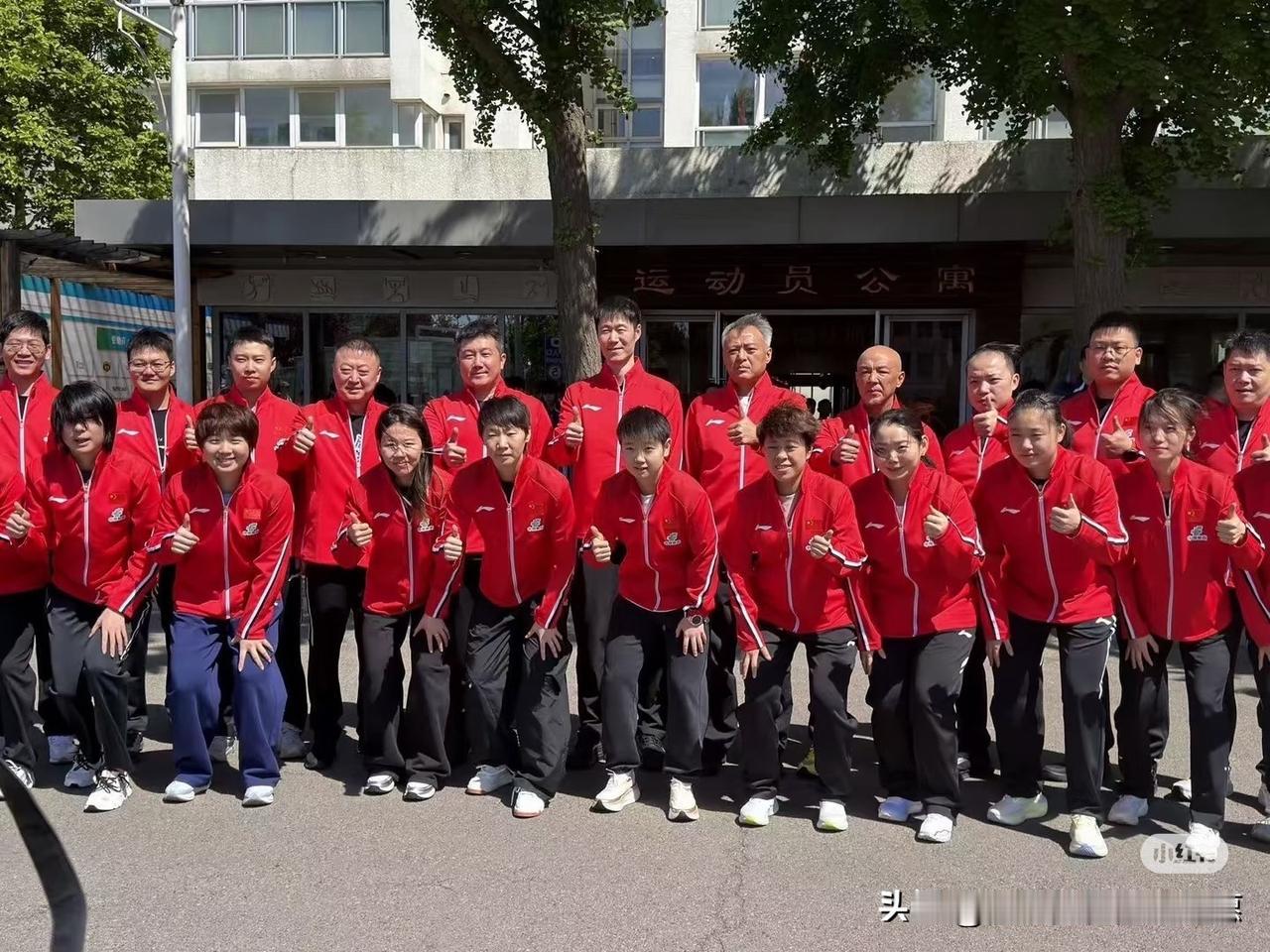 这张照片是国乒女队出发伦敦前和教练的合影，照片拍得非常好！国乒女队员们穿着崭