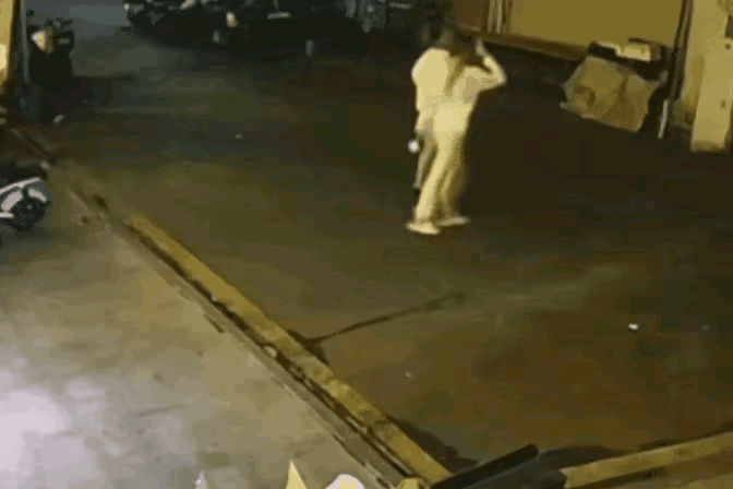 这么小的一只小狗，被你俩直接爆头了[笑着哭]