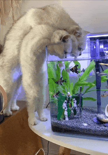 我看是醉翁之意不在水吧