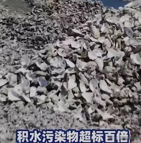 11万吨！中央督察组在广东潮州，挖出一堆“吃人的生蚝壳”！6月2日，中央生态环保