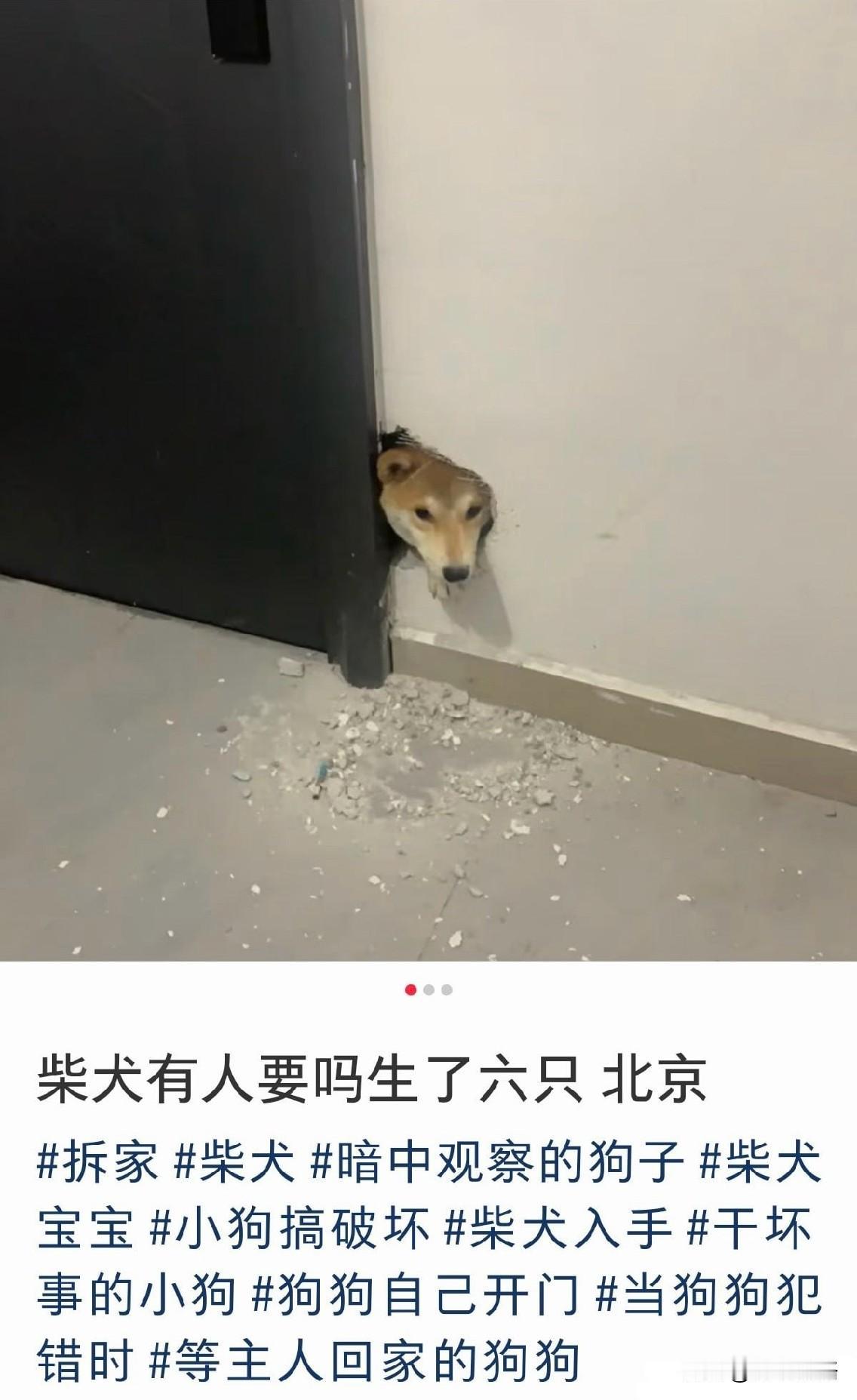 这谁敢要啊