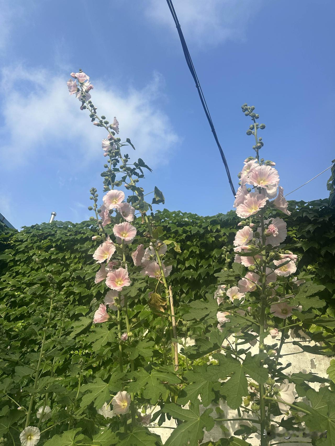 随手拍一张你所在城市的蓝天景色