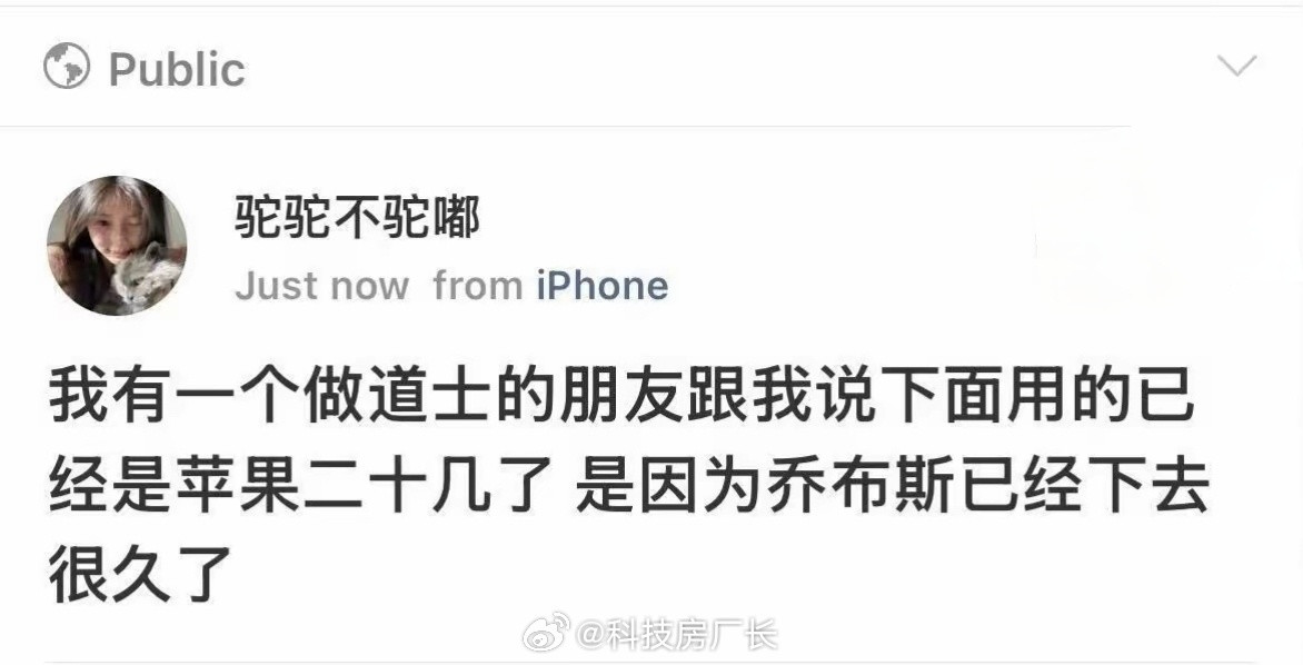 这个我信，《灵魂摆渡》中给乔布斯安排了1500个女助手，研发出7屏同显的iPho