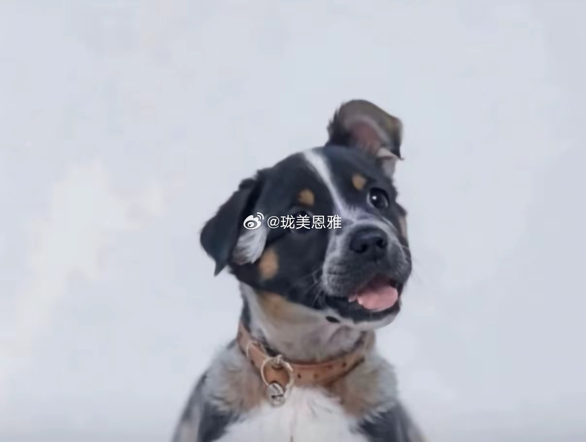 一旦看错，就很难看回去了。。。
