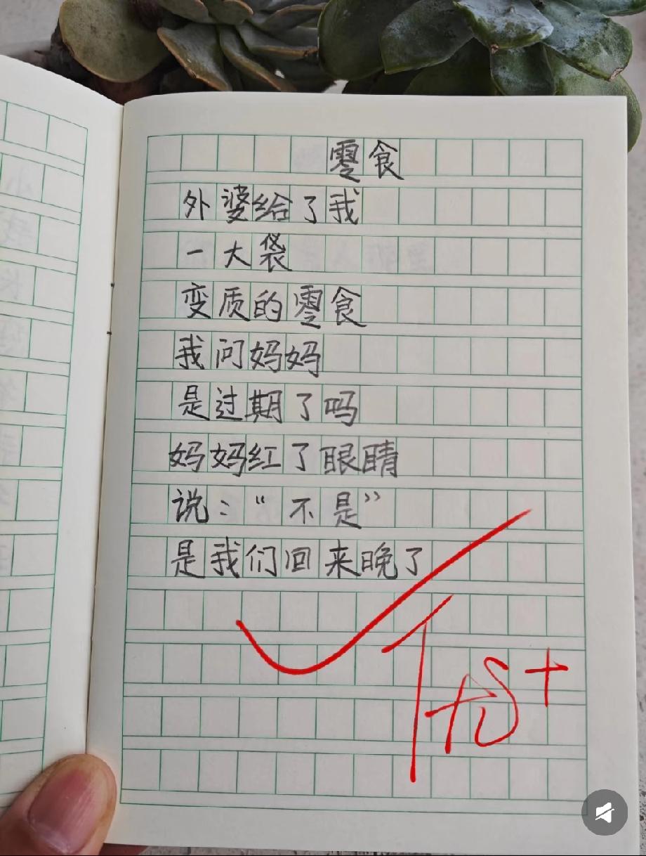 破防了！小学生作文《零食》火了，“是我们回来晚了”看一次哭一次