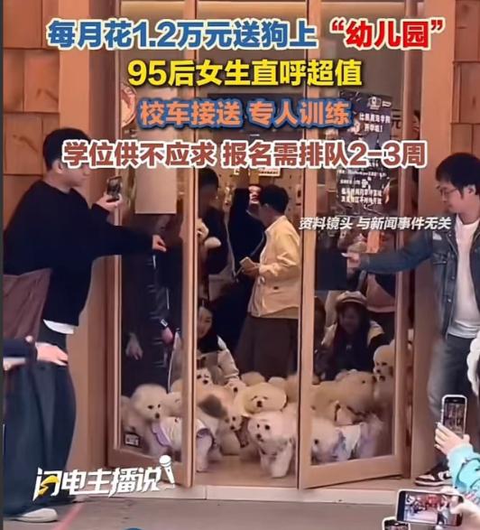 人不如狗实锤了！上海95后女生每月砸1.2万送狗上“贵族幼儿园”，还得