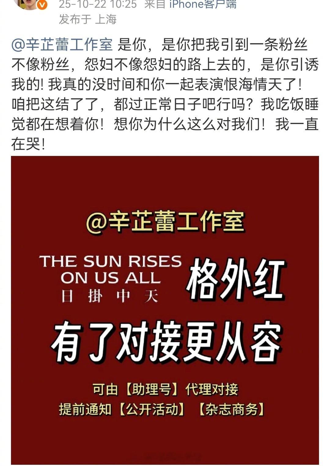 辛芷蕾是演员，不是爱豆！这些人在干什么[doge]​​​