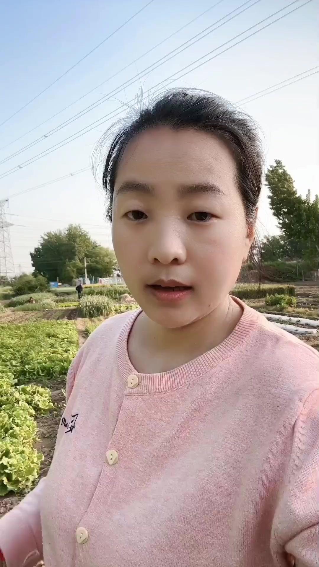 当黄瓜苗长到6片叶时，第一次修枝很关键。把底部靠近泥土的一到两片老叶摘掉，避免腐