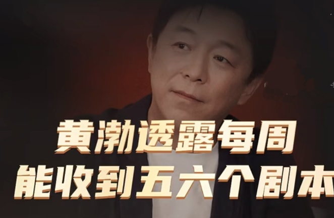 鲁豫问黄渤：你大概一年能收到多少体量的剧本？黄渤回答：差不多每个星期最起码有五六