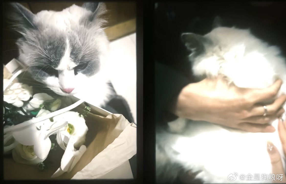 我疯狂的回忆每个幸福的瞬间