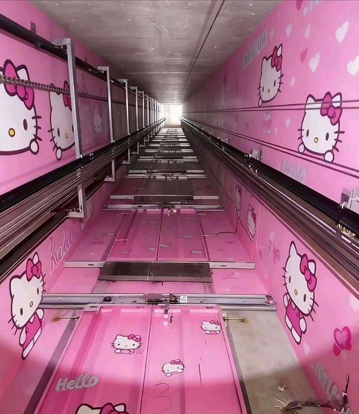 大开眼界了！现在电梯井都装修的这么卡哇伊了吗