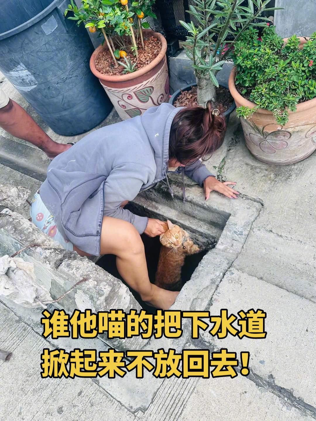 替猫猫感谢好心人！