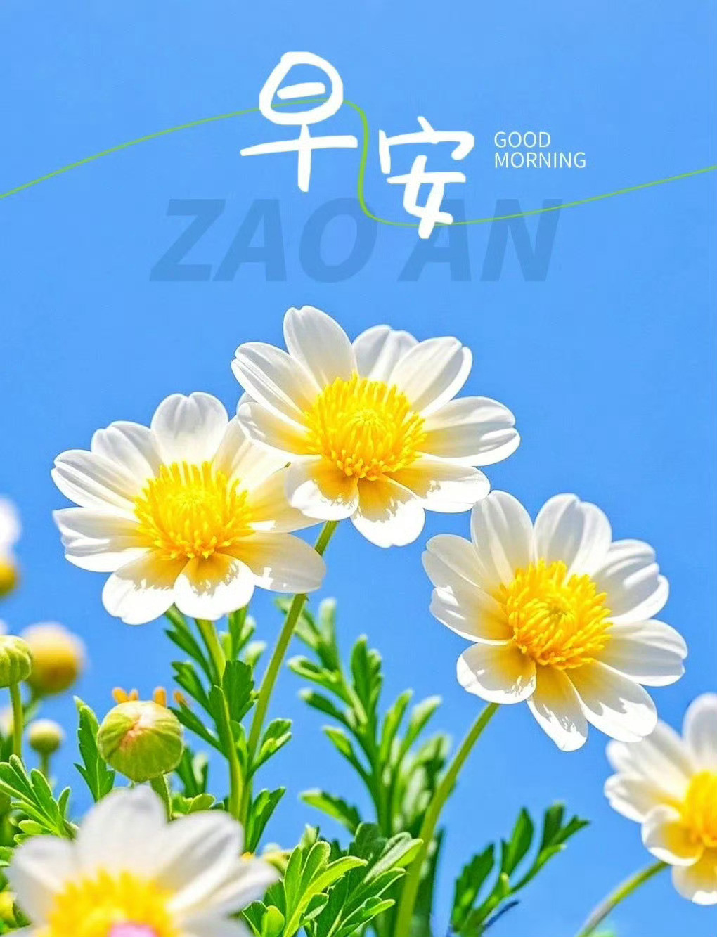 早起有微笑，生活有美好，早安！发现生活中的小美好