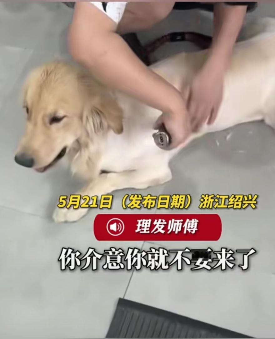 这不乱套了吗？人狗共用一个理发推子，而且狗狗还有皮肤病，当顾客提出质疑时，理发师