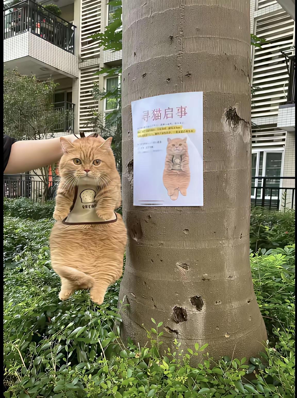 终于逮到你了，终于可以去领赏，不知道能领多少钱？[呲牙笑][呲牙笑][呲牙笑]今天总算