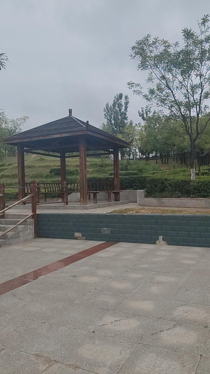 锻炼结束。买菜。回家。公园有坟地，挺好。电视剧里说，人终究一个土馒头。它时时