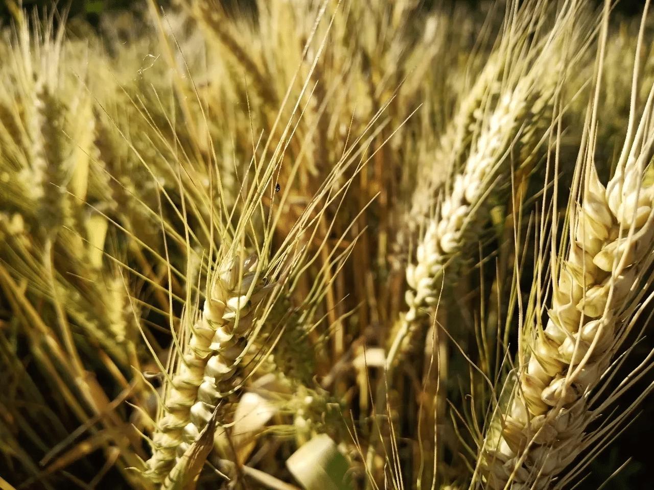 成功女人的顶级思维：看透人性，你就无敌了看懂人性真相你知道吗？一个女人真