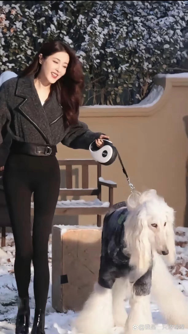 谁被曾黎的腿狠狠惊艳到！线条完美、比例逆天，美得又飒又蛊，太抓人了。