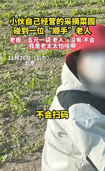 “活不起了！”11月26日报道，北京一男子在自家经营的菜地里，发现一名老人正在摘