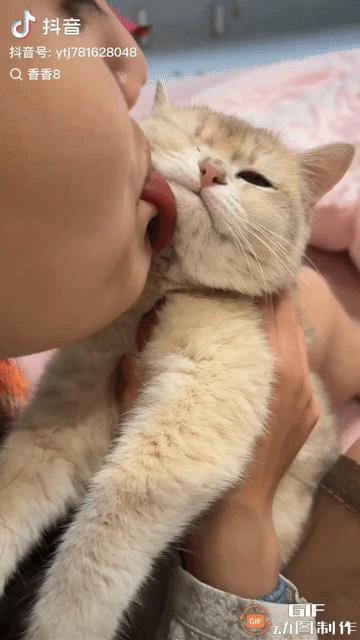 有一女子对猫咪的喜爱达到了极致，每日都会花时间照料猫咪，而最后的步骤便是亲吻猫咪